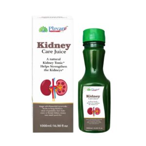 Puvan Herbals Kidney Care Juice natural kidney detox juice